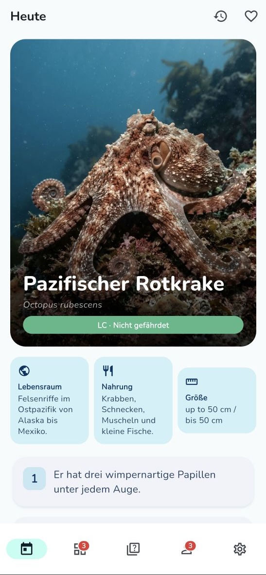 Ocean Insight —Heute-Ansicht mit Pazifischem Rotkraken: Lebensraum, Nahrung und Schon-gewusst-Fakt